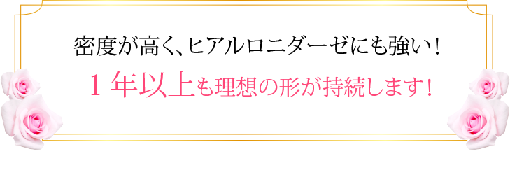 密度が高く、ヒアルロニダーゼにも強い！１年以上も理想の形が持続します！