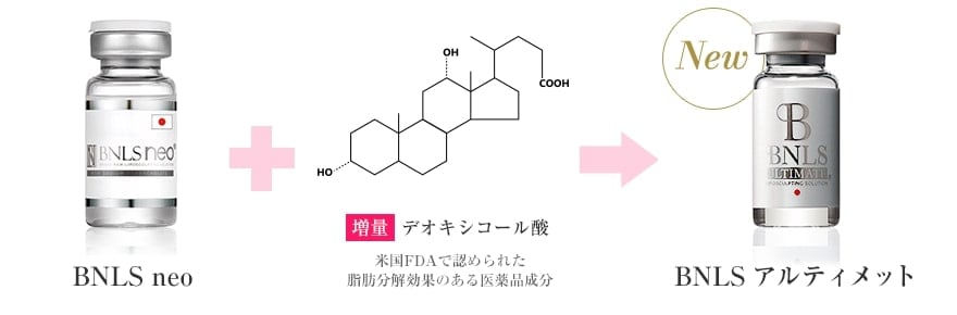 BNLS アルティメットとは