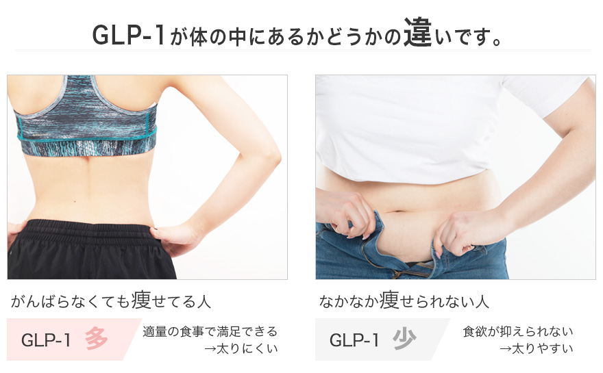 GLP-1の分泌されにくさが肥満につながる