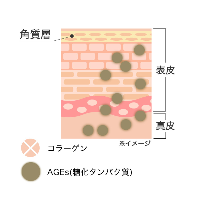 糖化により肌のハリがなくなり、シミ・くすみが増え老化が促進されてしまう