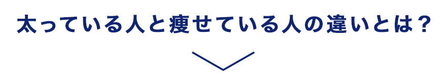 太っている人と痩せている人の違いとは？