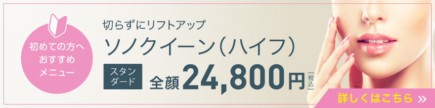 ソノクイーン（ハイフ）スタンダード全顔24,800円（税込）