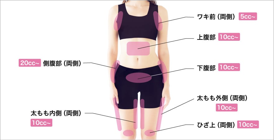 身体前面治療部位