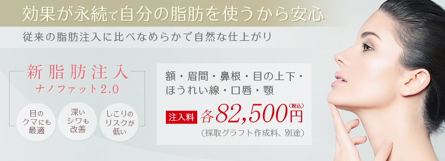 新脂肪注入「ナノファット2.0」