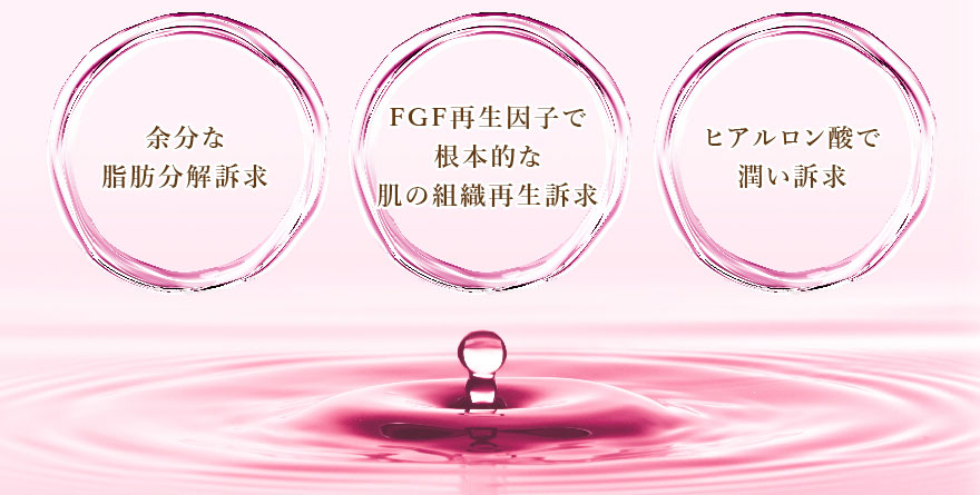 余分な脂肪分解訴求・FGF再生因子で根本的な肌組織再生訴求・ヒアルロン酸で潤い訴求