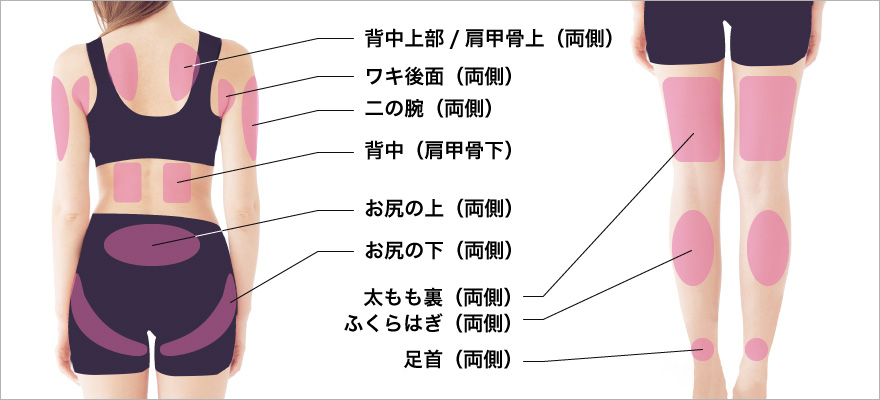 体背面、足治療部位