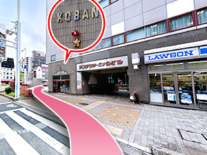 東京中央美容外科高知院 とさでん交通 デンテツターミナルビル前駅ルート02